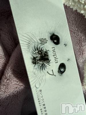 ��Į����Х��顦����֥���� �ץ���� ����(����� �ץ���� ������) ���ߤ���2��12���̥�֥����֡���