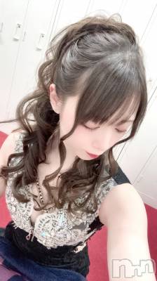 ��Į����Х��顦����֥���� �ץ���� ����(����� �ץ���� ������) ���ߤ���2��12���̥�֥����֡���