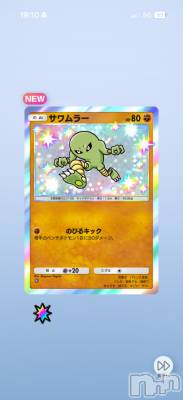 ��Į����Х��顦����֥���� �ץ���� ����(����� �ץ���� ������) ���ߤ���2��13���̥�֥����֡���