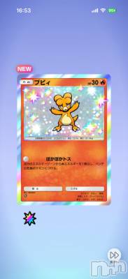 ��Į����Х��顦����֥���� �ץ���� ����(����� �ץ���� ������) ���ߤ���2��14���̥�֥����֡���