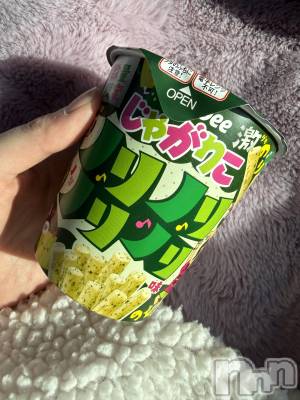 ��Į����Х��顦����֥���� �ץ���� ����(����� �ץ���� ������) ���ߤ���2��17���̥�֥����֡���