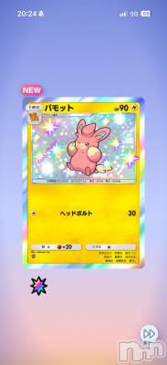 ��Į����Х��顦����֥���� �ץ���� ����(����� �ץ���� ������) ���ߤ���2��27���̥�֥����֡���