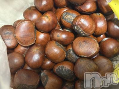 ��Į����Х��顦����֥���� �ץ���� ����(����� �ץ���� ������) ���ߤ���3��2���̥�֥����֡���