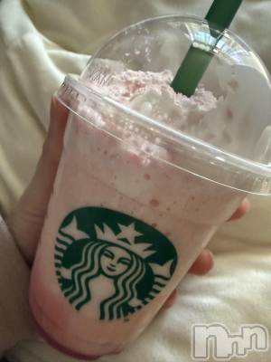 ��Į����Х��顦����֥���� �ץ���� ����(����� �ץ���� ������) ���ߤ���3��6���̥�֥����֡���