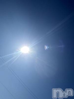 ��Į����Х��顦����֥���� �ץ���� ����(����� �ץ���� ������) ���ߤ���3��9���̥�֥����֡���