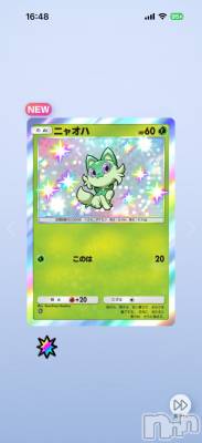 ��Į����Х��顦����֥���� �ץ���� ����(����� �ץ���� ������) ���ߤ���3��16���̥�֥����֡���