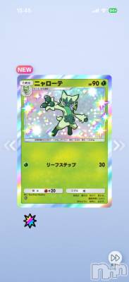 ��Į����Х��顦����֥���� �ץ���� ����(����� �ץ���� ������) ���ߤ���3��18���̥�֥����֡���