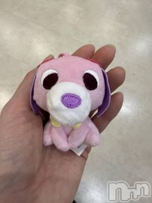 ��Į����Х��顦����֥���� �ץ���� ����(����� �ץ���� ������) ���ߤ���3��23���̥�֥����֡���