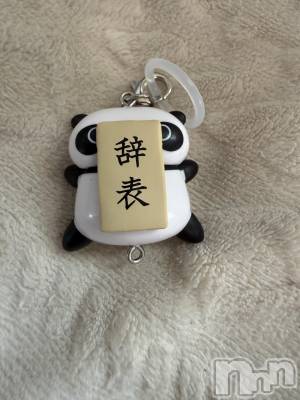 ��Į����Х��顦����֥���� �ץ���� ����(����� �ץ���� ������) ���ߤ���3��24���̥�֥����֡���