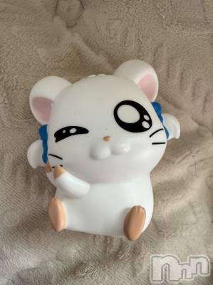 ��Į����Х��顦����֥���� �ץ���� ����(����� �ץ���� ������) ���ߤ���3��24���̥�֥����֡���