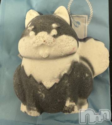 ��Į����Х��顦����֥���� �ץ���� ����(����� �ץ���� ������) ���ߤ���3��25���̥�֥����֡���