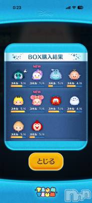 ��Į����Х��顦����֥���� �ץ���� ����(����� �ץ���� ������) ���ߤ���4��1���̥�֥����֡���