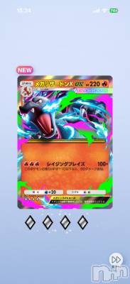 ��Į����Х��顦����֥���� �ץ���� ����(����� �ץ���� ������) ���ߤ���4��2���̥�֥����֡���