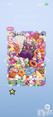 ��Į����Х��顦����֥���� �ץ���� ����(����� �ץ���� ������) ���ߤ���4��6���̥�֥����֡���