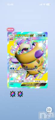 ��Į����Х��顦����֥���� �ץ���� ����(����� �ץ���� ������) ���ߤ���4��11���̥�֥����֡���