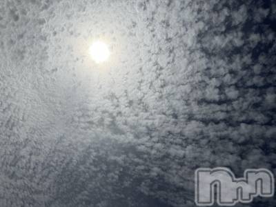 ��Į����Х��顦����֥���� �ץ���� ����(����� �ץ���� ������) ���ߤ���4��12���̥�֥����֡���