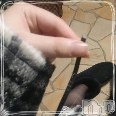 ĮХ顦֥ ץ ( ץ ) ߤ126̥֥126 1733ʬμ̥֥