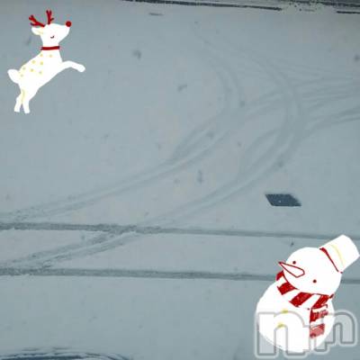 ĮХ顦֥ ץ ( ץ ) ߤ1216̥֥1216 1700ʬμ̥֥