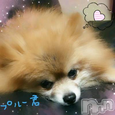 ĮХ顦֥ ץ ( ץ ) ߤ24̥֥✱