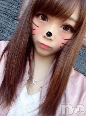 ĮХ顦֥ ץ ( ץ ) ߤ327̥֥֥ԥ󥯡