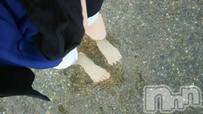 ĮХ顦֥ ץ ( ץ ) ߤ413̥֥֡