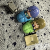 ĮХ顦  ץ ( ץ ) ߤ1015̥֥֡