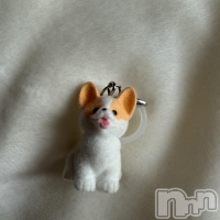 ���ߤ� ����