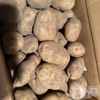 ��Į����Х��顦����� ����� �ץ���� ����(����� �ץ���� ������) ���ߤ���10��24���̥�֥����֡���