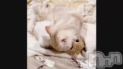 ドキドキ♪彼女のお部屋のような☆癒しのお部屋