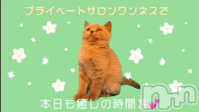 本日も癒しの時間を💕ご予約お待ちしてます(^^)