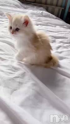 貴方の癒しのエステ♪ワンネスです