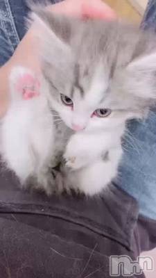 あなたを癒す♪ワンネスです＾＾