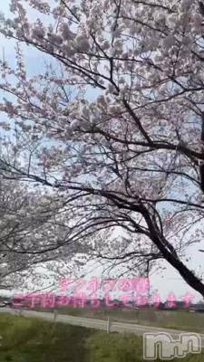 春満開♪ワンネスで癒しの時間を