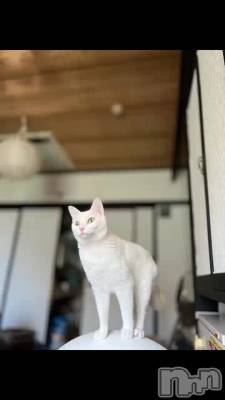 プライベートサロン oneness　長野店