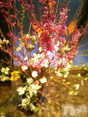 新潟デリヘル 人妻楼　新潟店(ヒトヅマロウ　ニイガタテン) 和久井(34)の4月17日写メブログ「明日からー！」