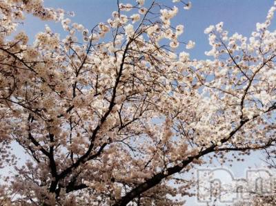 松本発デリヘル VANILLA(バニラ) ゆきの(22)の4月16日写メブログ「出勤♪」