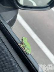 新潟デリヘル人妻不倫処　桃屋　新潟店(ヒトヅマフリンドコロモモヤ) いぶきエロモード(43)の10月13日写メブログ「旅行かぁー」