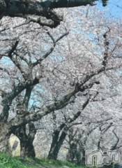 新潟デリヘル人妻不倫処　桃屋　新潟店(ヒトヅマフリンドコロモモヤ) いぶきエロモード(43)の4月13日写メブログ「お休み」