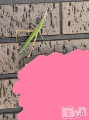 新潟デリヘル人妻不倫処　桃屋　新潟店(ヒトヅマフリンドコロモモヤ) いぶきエロモード(43)の8月15日写メブログ「ビビった(꒪0꒪ﾉ)ﾉ彡」