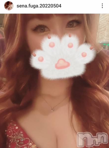 ƲХ顦THE LOUNGE (饦󥸥ե)  2024ǯ413̥֥new face³Ͽ Instagram֥Ǥ