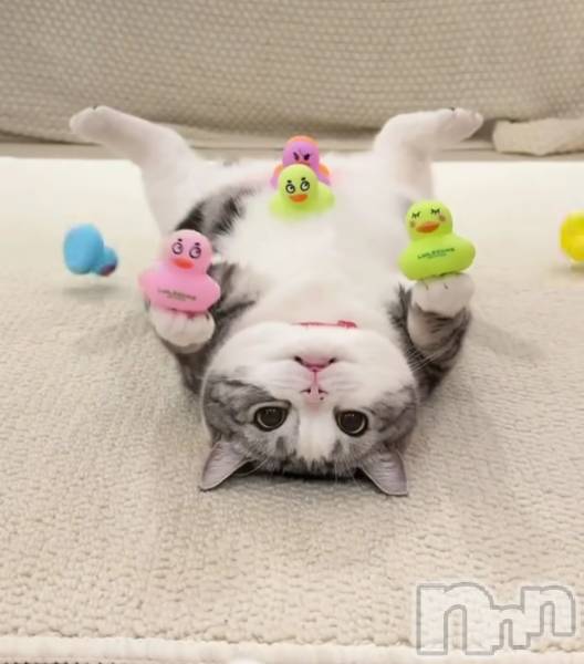 ƲХ顦THE LOUNGE (饦󥸥ե)  2024ǯ98̥֥ŹȤʤäƤޤ