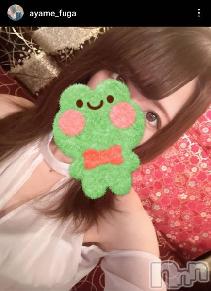 ƲХ顦THE LOUNGE (饦󥸥ե)  2025ǯ510̥֥NewFace³ϿInstagram֥桪