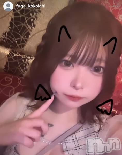 ��Ʋ����Х��顦�����THE LOUNGE ����(�饦�󥸥ե���) �� 2026ǯ2��25���̥�֥�����NewFace��³����Ͽ��Instagram���֥���������桪������