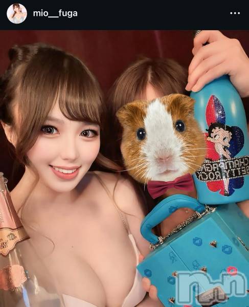 ��Ʋ����Х��顦�����THE LOUNGE ����(�饦�󥸥ե���) �� 2026ǯ3��6���̥�֥�����NewFace��³����Ͽ��Instagram���֥���������桪������