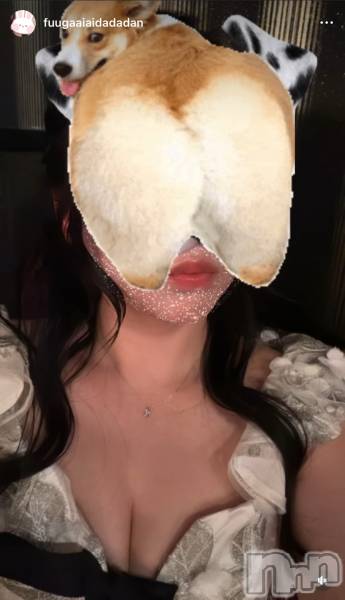 ��Ʋ����Х��顦�����THE LOUNGE ����(�饦�󥸥ե���) �� 2025ǯ11��14���̥�֥�����NewFace��³����Ͽ��Instagram���֥���������桪������