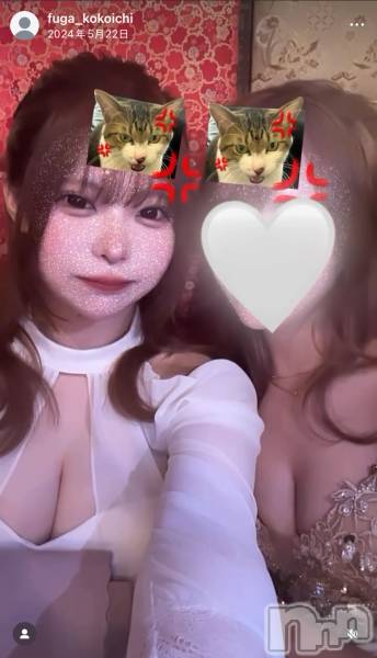 ƲХ顦THE LOUNGE (饦󥸥ե)  2025ǯ1121̥֥NewFace³ϿInstagram֥桪