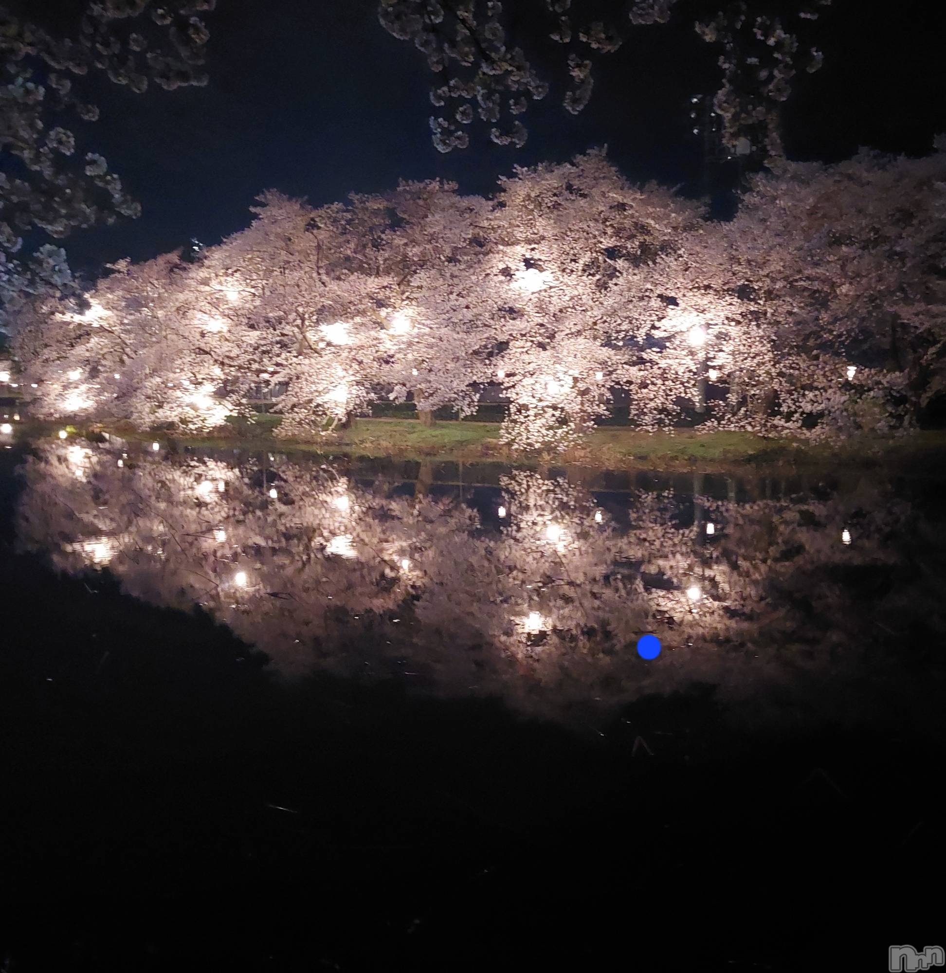 ��Į����Х��顦�����salon do����(������ɥ����) ��2026ǯ4��6���̥�֥���������♡��