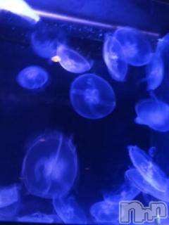 ƲХ顦ֲ֥ڲСݣȣΣ£ɡ(֥ϥʥ) 625̥֥624