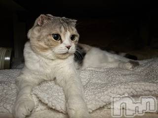 ��Ʋ����Х��顦����֥���ֲڲСݣȣ��Σ��£ɡ�(����֥ϥʥ�) �����12��17���̥�֥�����12��17�� 17��19ʬ�μ̥�֥�����