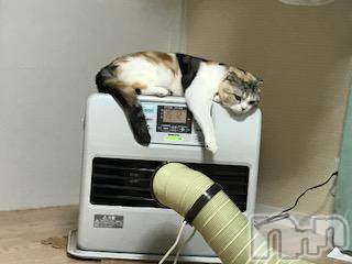 ƲХ顦ֲ֥ڲСݣȣΣ£ɡ(֥ϥʥ) 2017ǯ127̥֥127 0312ʬμ̥֥